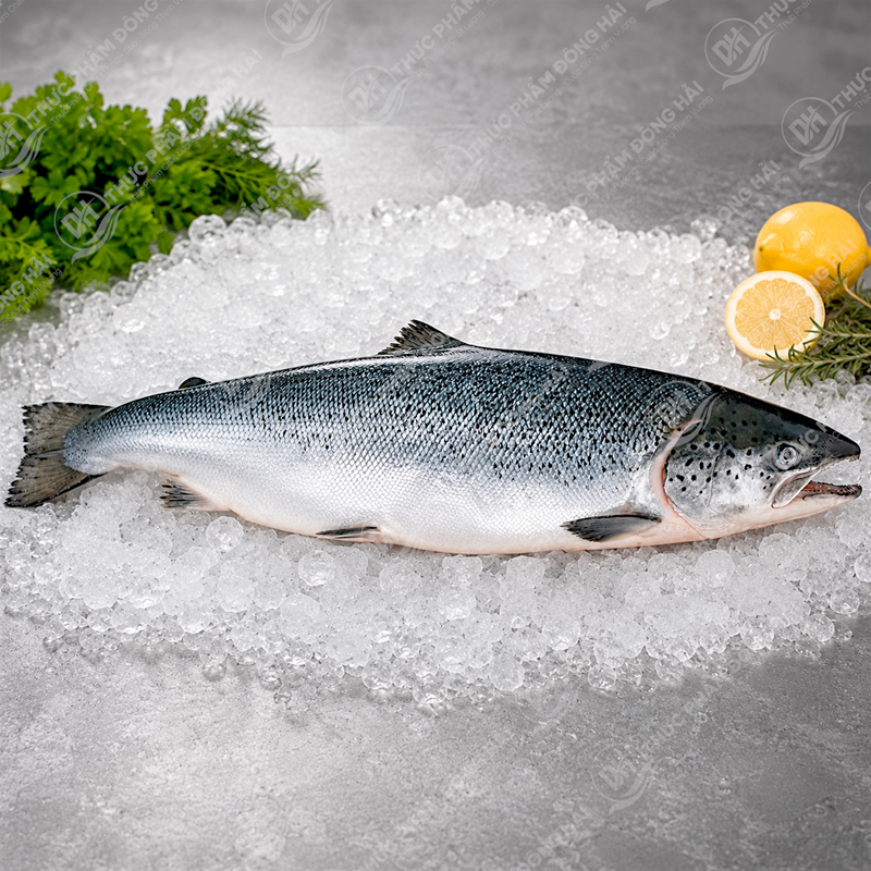 Ca Hồi Nauy Tươi Nguyên Con Sashimi